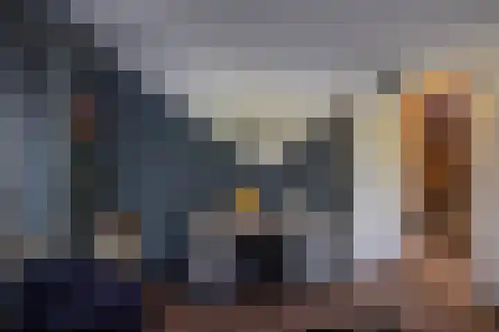 Hink Oostingstraat 52 't Zandt thumbnail 43