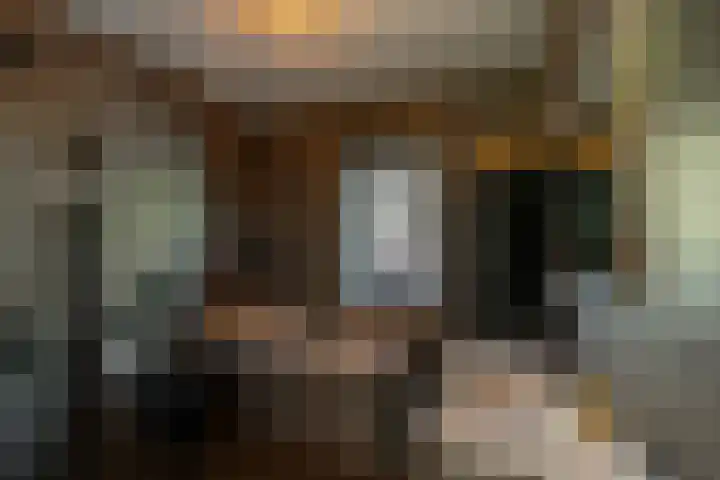 Hink Oostingstraat 52 't Zandt thumbnail 44