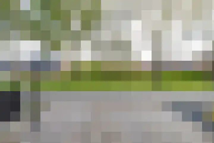Hink Oostingstraat 52 't Zandt thumbnail 52