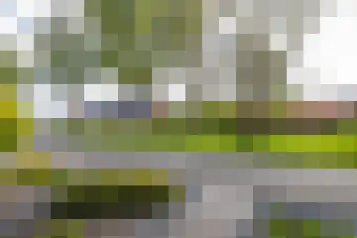 Hink Oostingstraat 52 't Zandt thumbnail 53