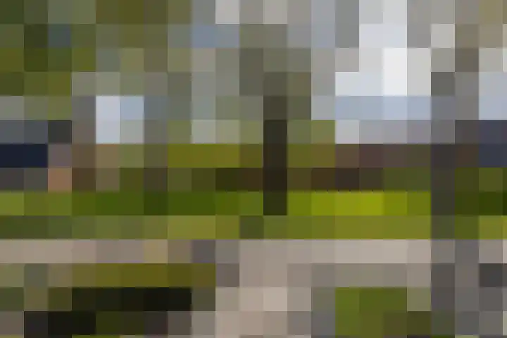 Hink Oostingstraat 52 't Zandt thumbnail 54