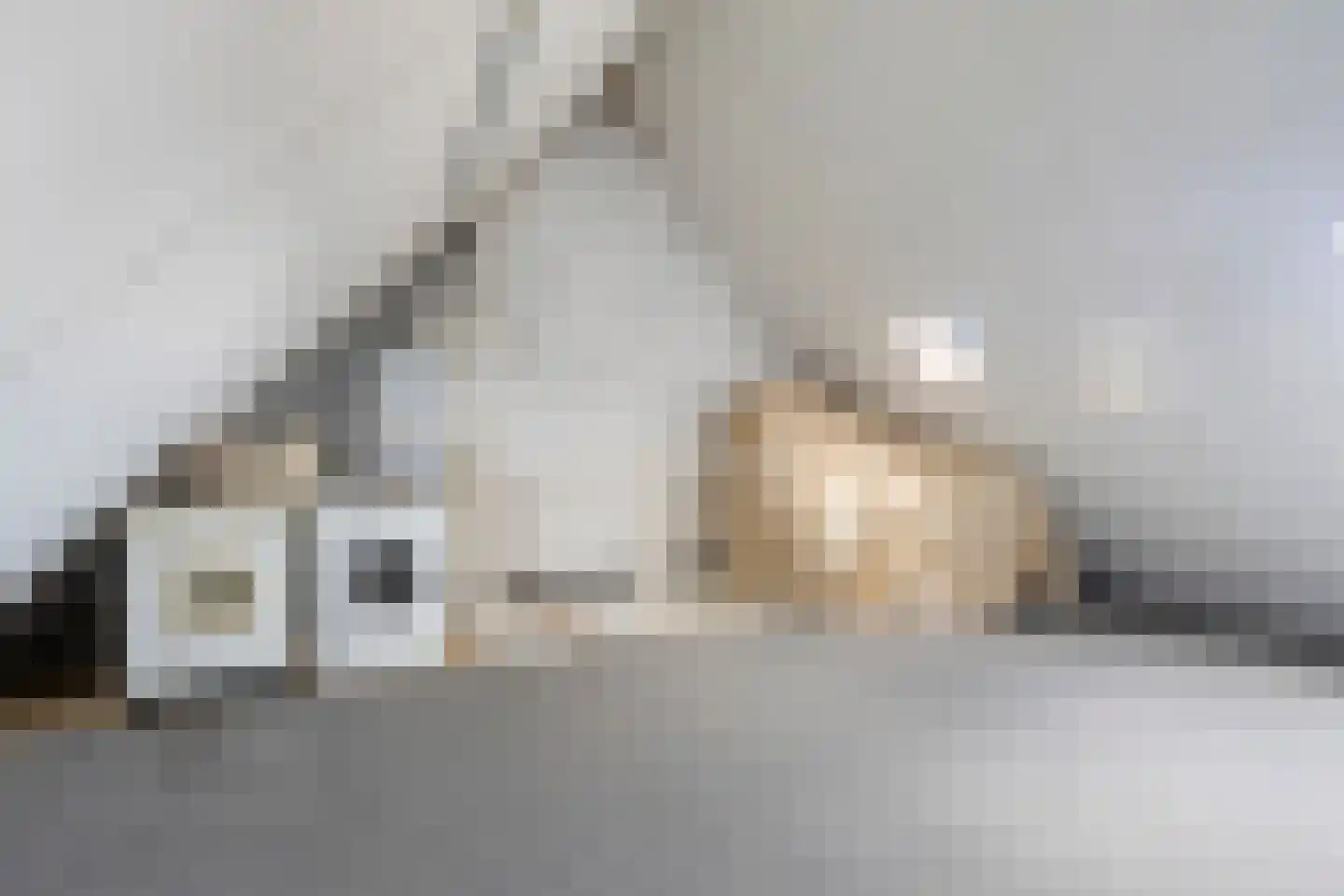 Hinkelenoord 11 Bergen op Zoom thumbnail 25