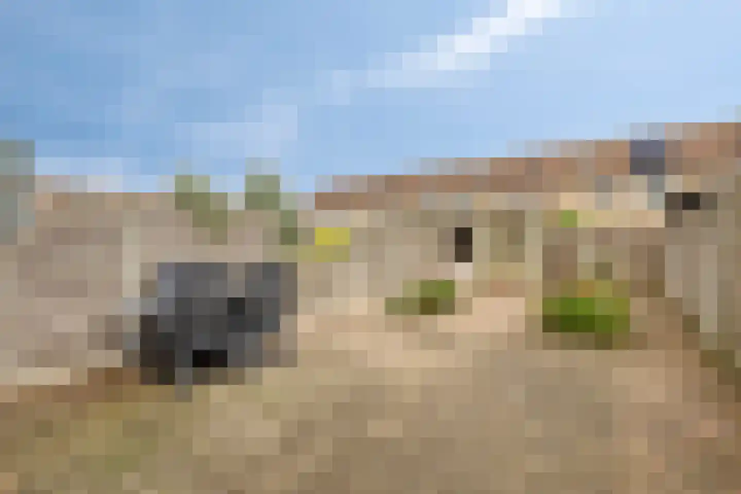 Hinkelenoord 11 Bergen op Zoom thumbnail 7