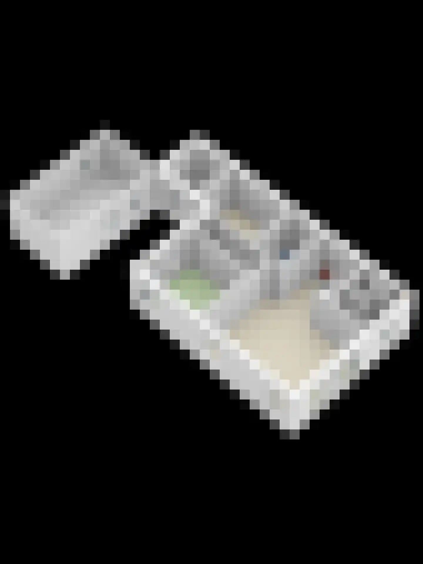 Hinkelingestraat 1 A Krabbendijke thumbnail 27