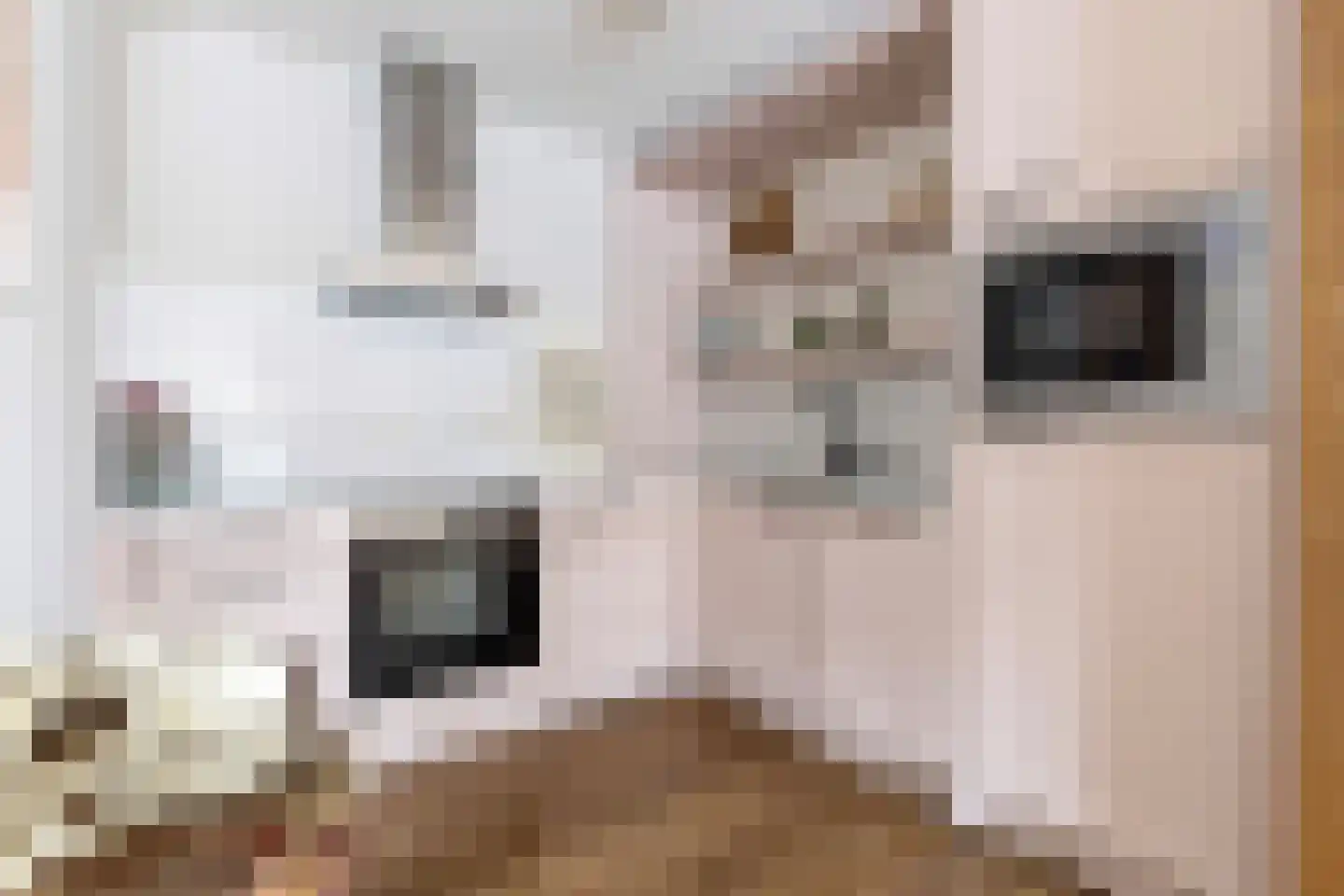 Hinkelingestraat 1 A Krabbendijke thumbnail 9