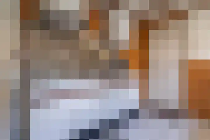 Hinkelingestraat 16 Krabbendijke thumbnail 17