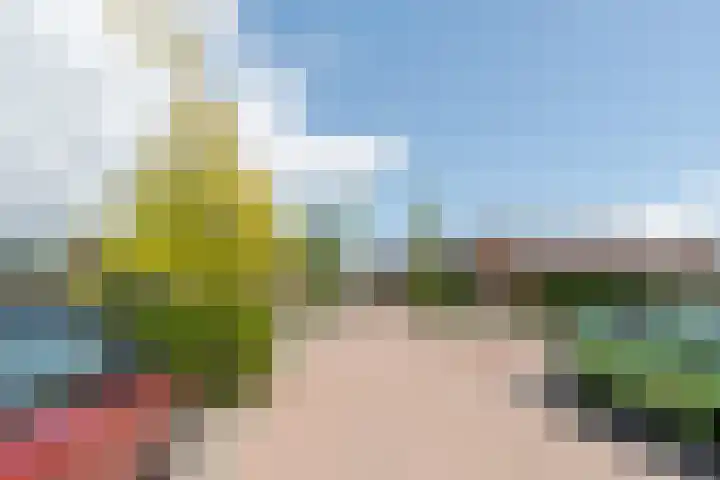 Hinkelingestraat 16 Krabbendijke thumbnail 33