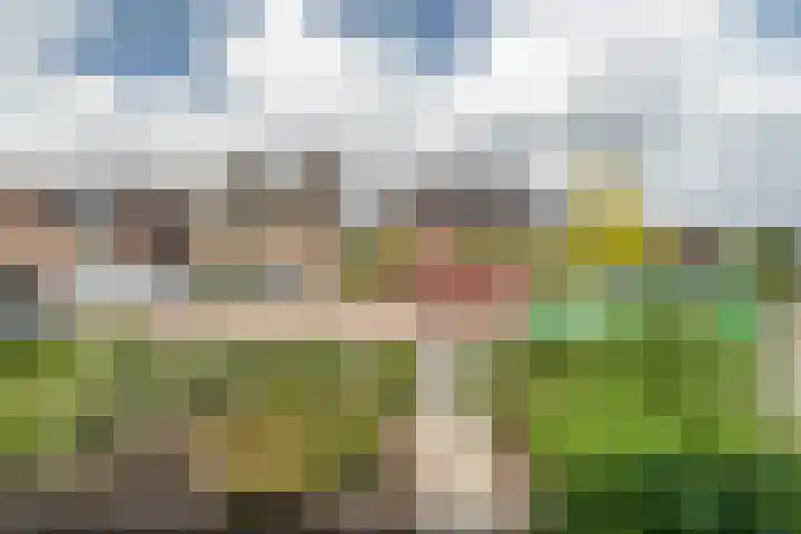 Hinkelingestraat 16 Krabbendijke thumbnail 34