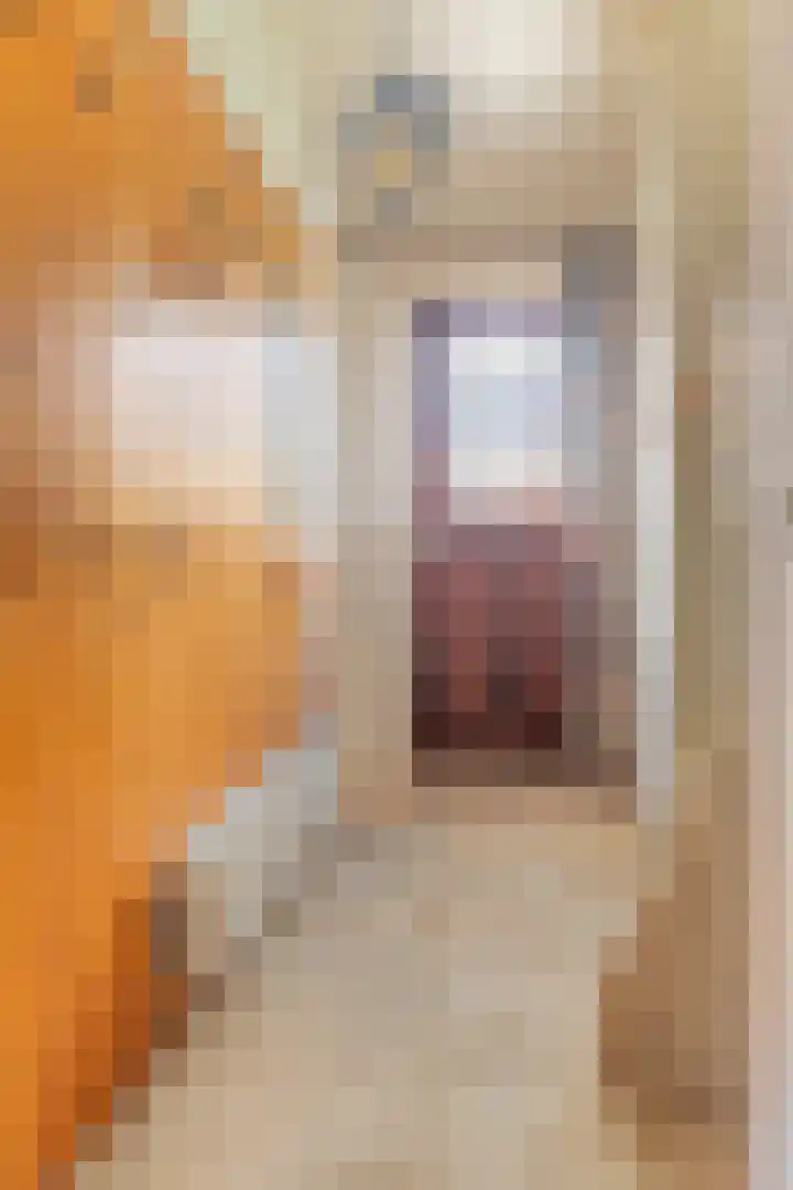 Hinkelingestraat 16 Krabbendijke thumbnail 6