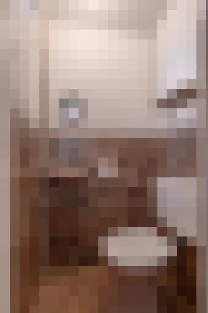 Hinkelingestraat 16 Krabbendijke thumbnail 7