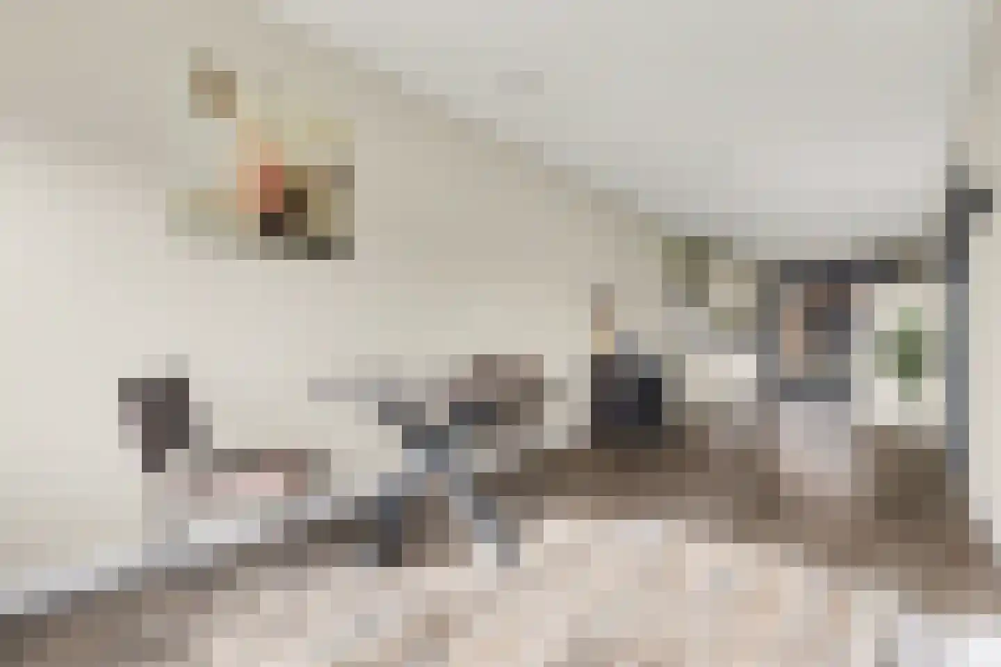 Hinkelingestraat 17 Krabbendijke thumbnail 10