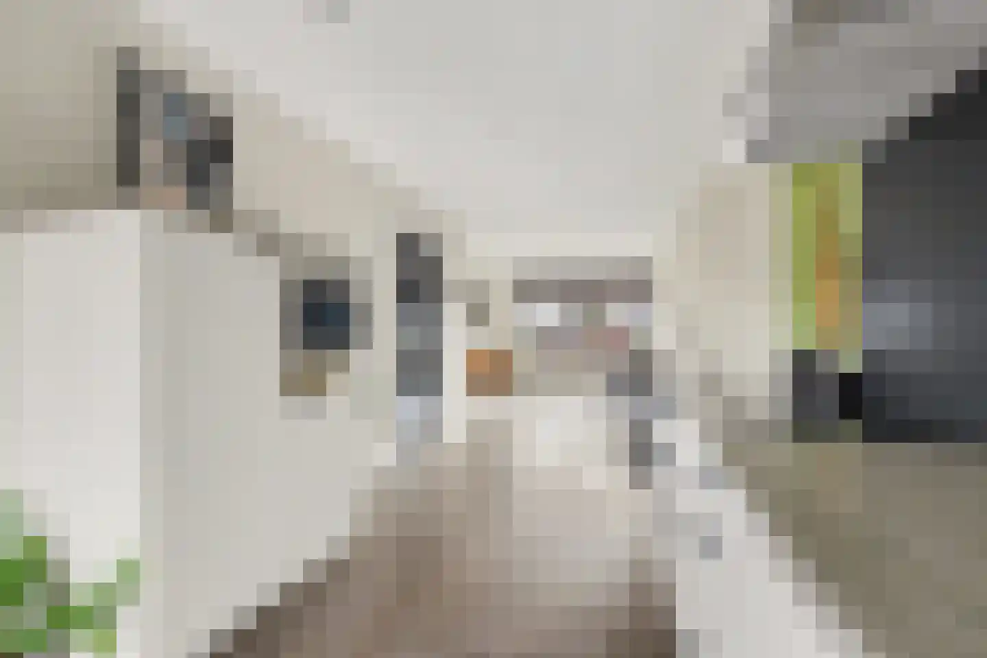 Hinkelingestraat 17 Krabbendijke thumbnail 14