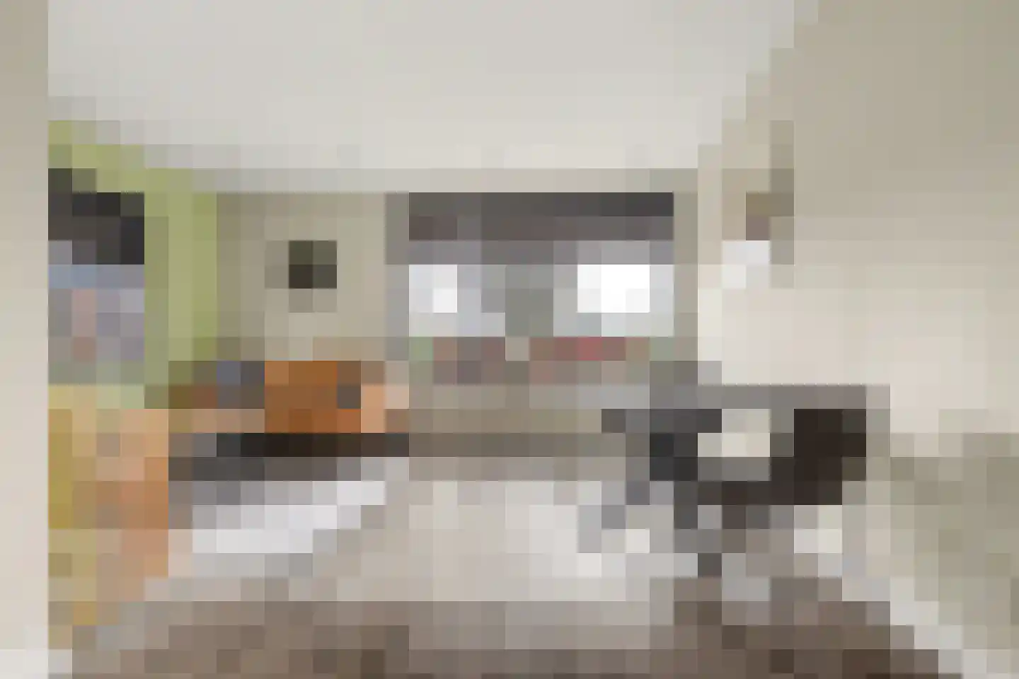 Hinkelingestraat 17 Krabbendijke thumbnail 7