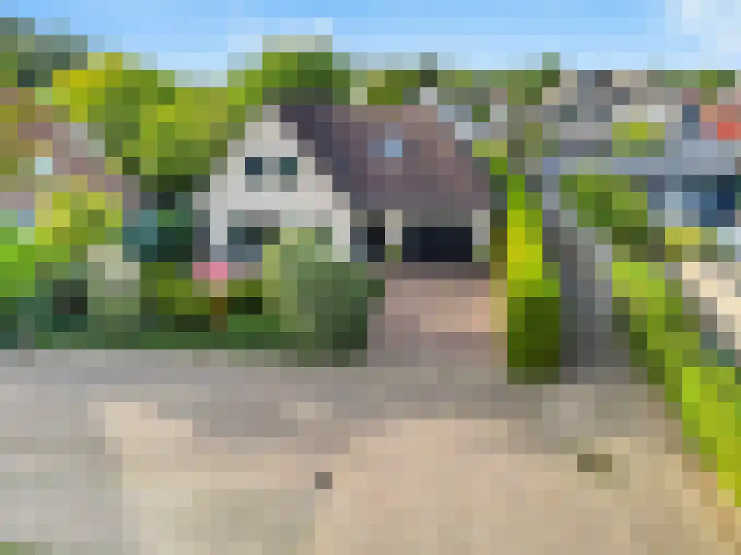 Hinkeman 32 in Tolkamer