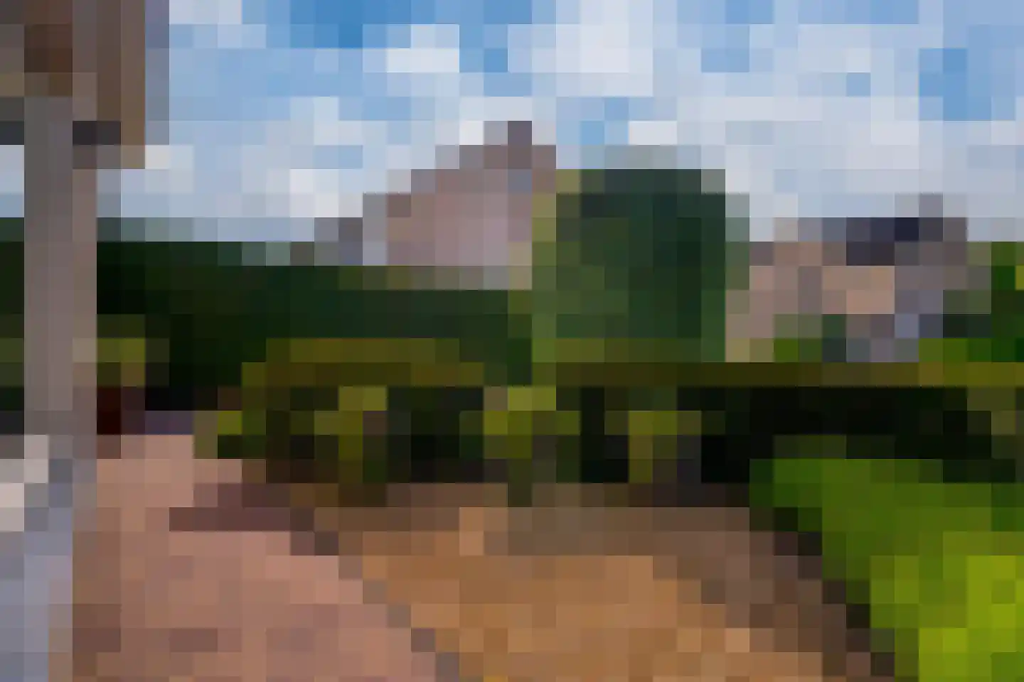 Hinkeman 32 Tolkamer thumbnail 10