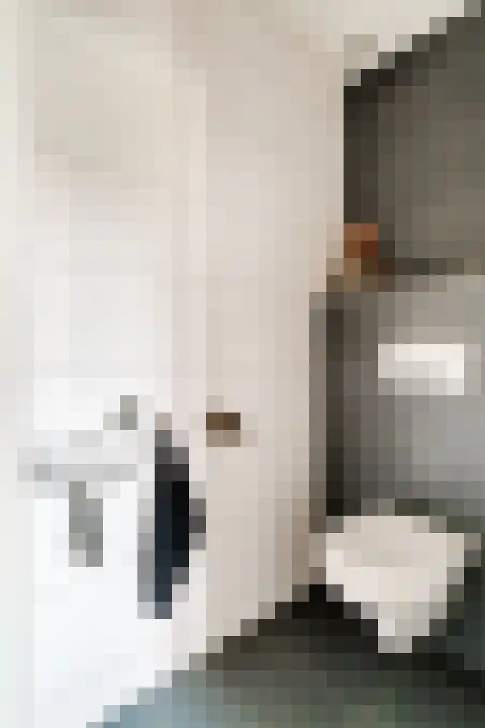 Hinkeman 32 Tolkamer thumbnail 14