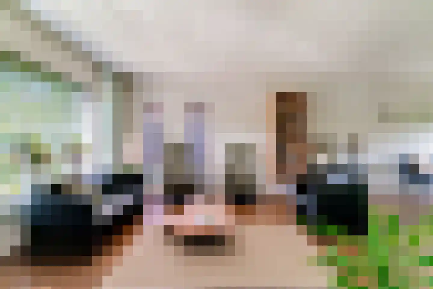 Hinkeman 32 Tolkamer thumbnail 14