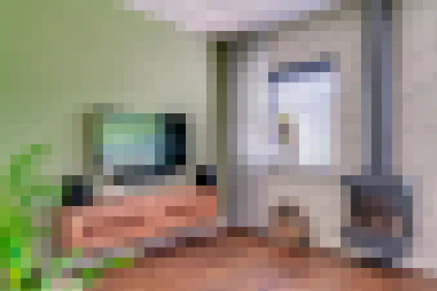 Hinkeman 32 Tolkamer thumbnail 16