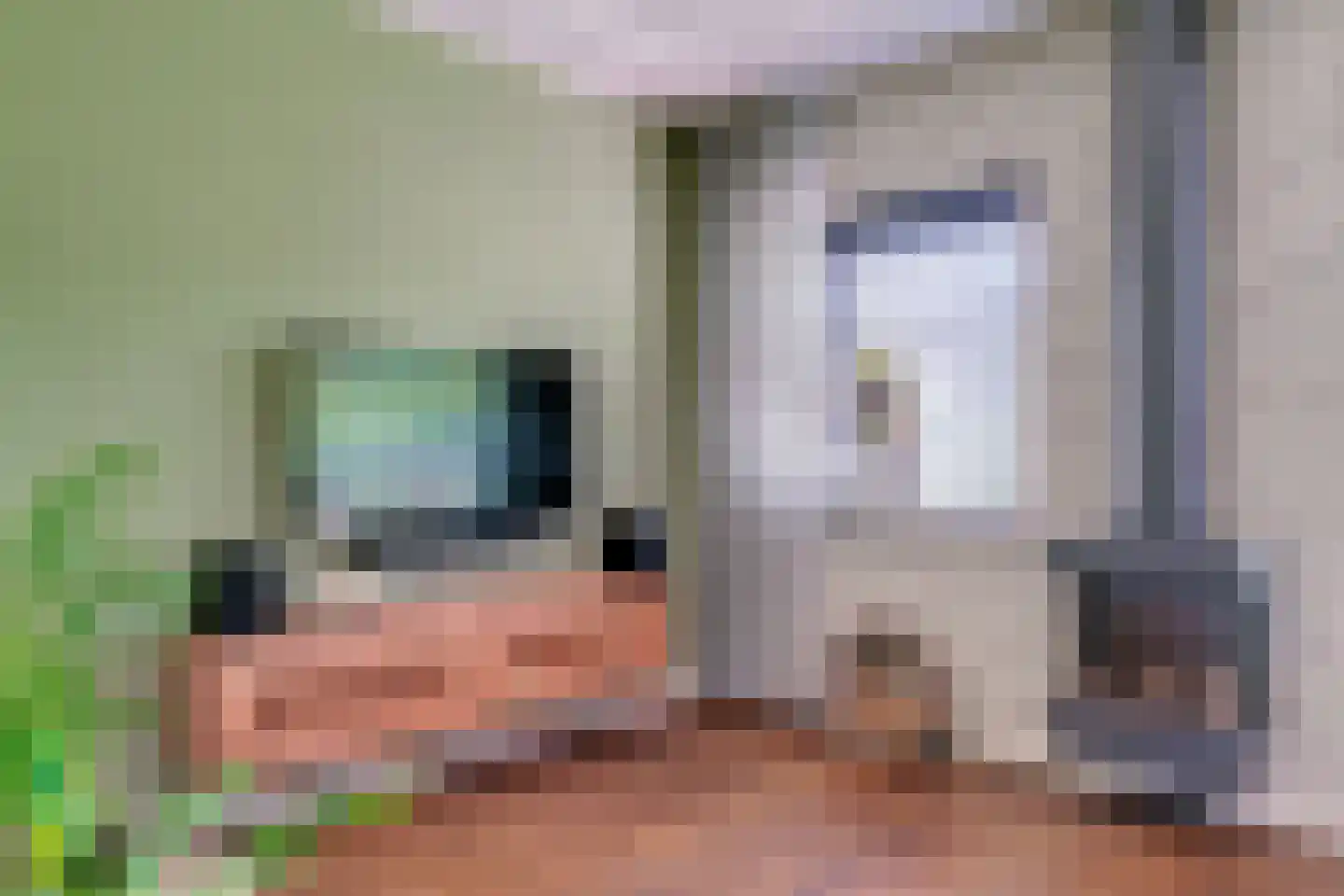 Hinkeman 32 Tolkamer thumbnail 16