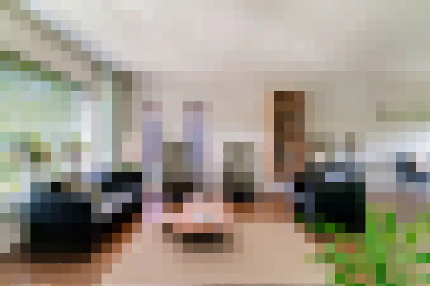 Hinkeman 32 Tolkamer thumbnail 17