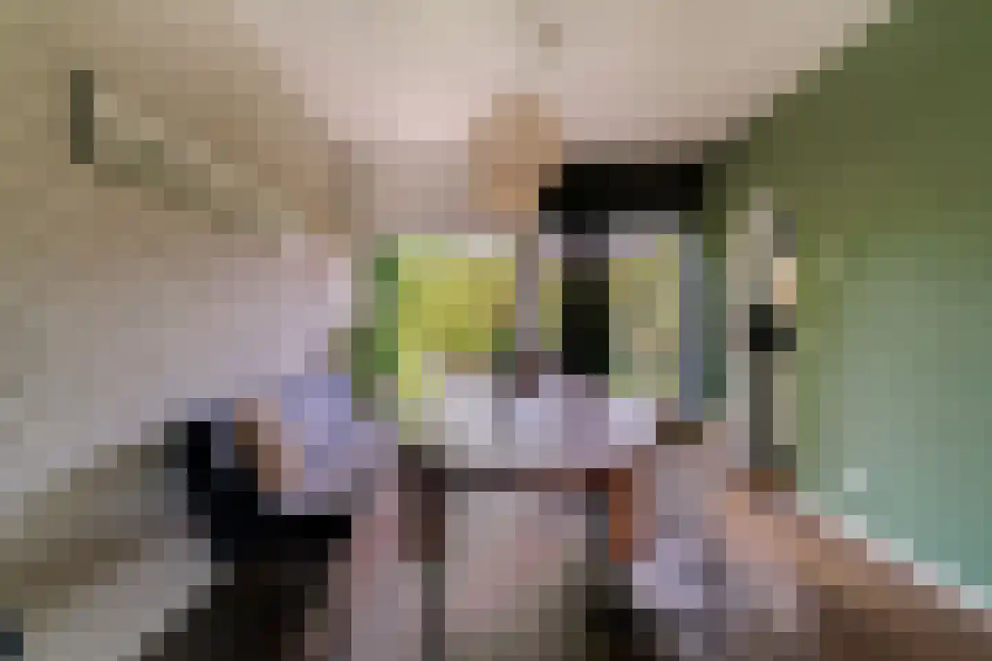 Hinkeman 32 Tolkamer thumbnail 19