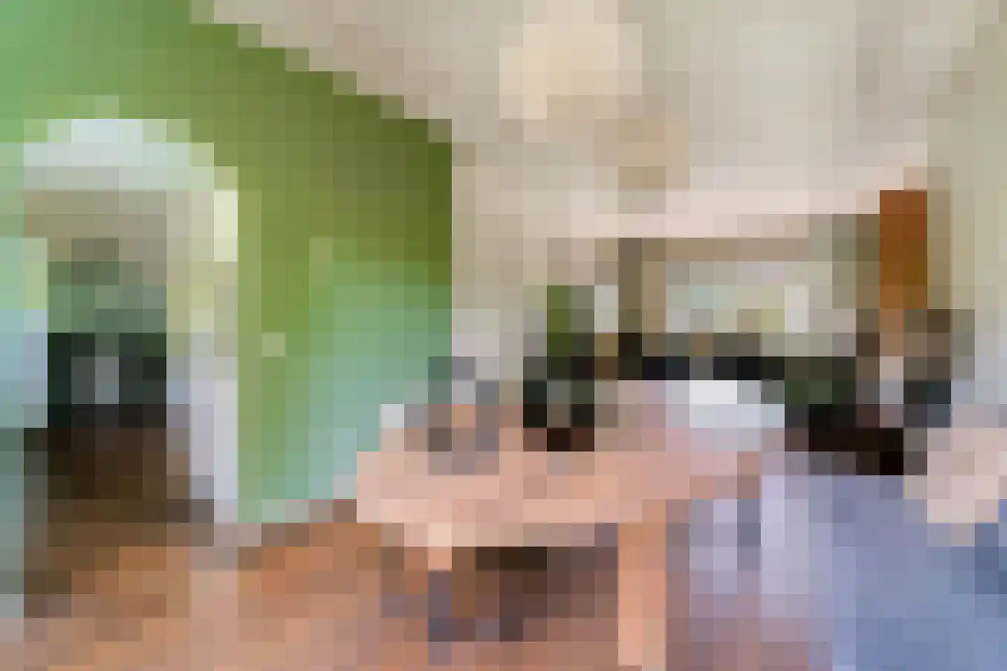 Hinkeman 32 Tolkamer thumbnail 19
