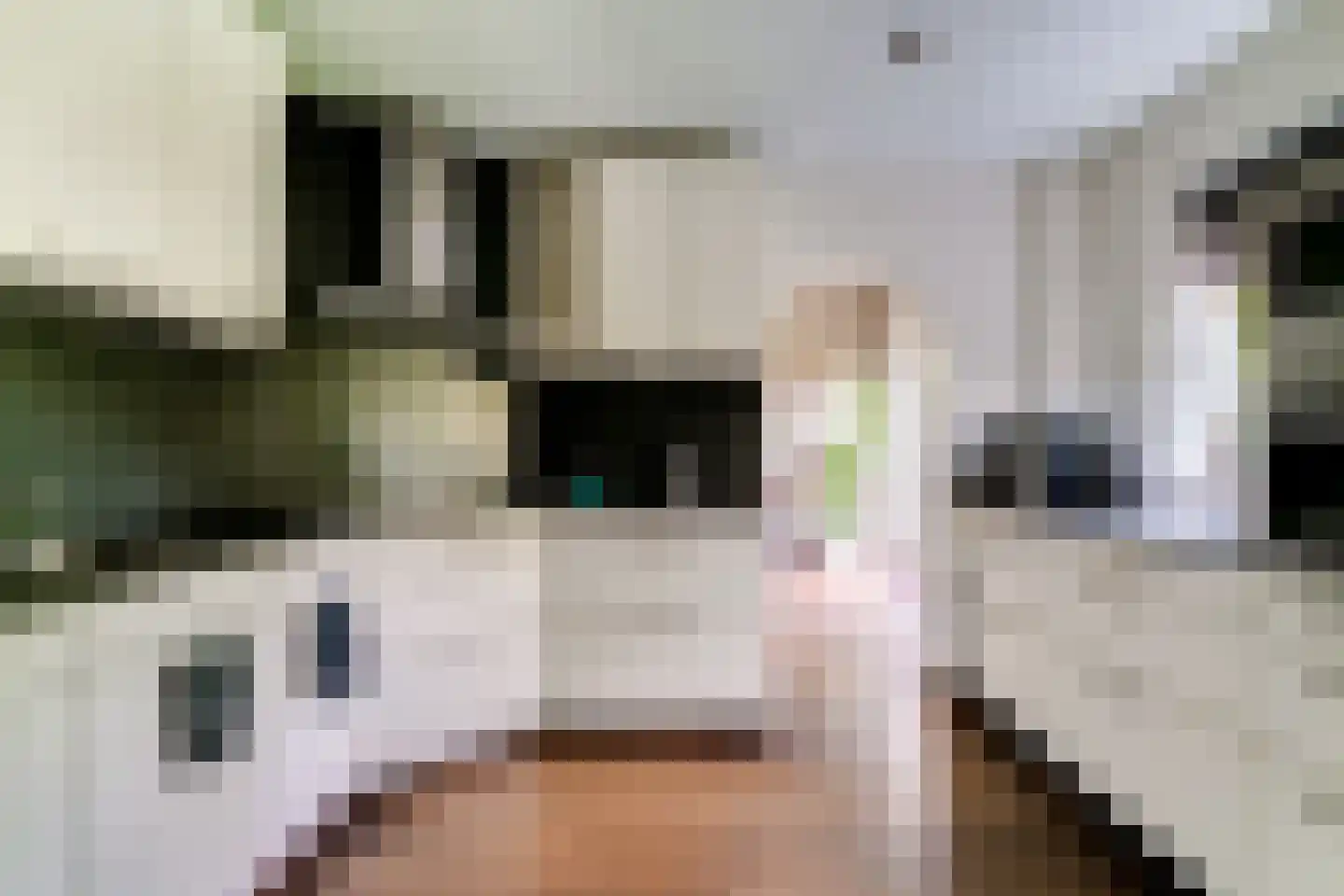 Hinkeman 32 Tolkamer thumbnail 23