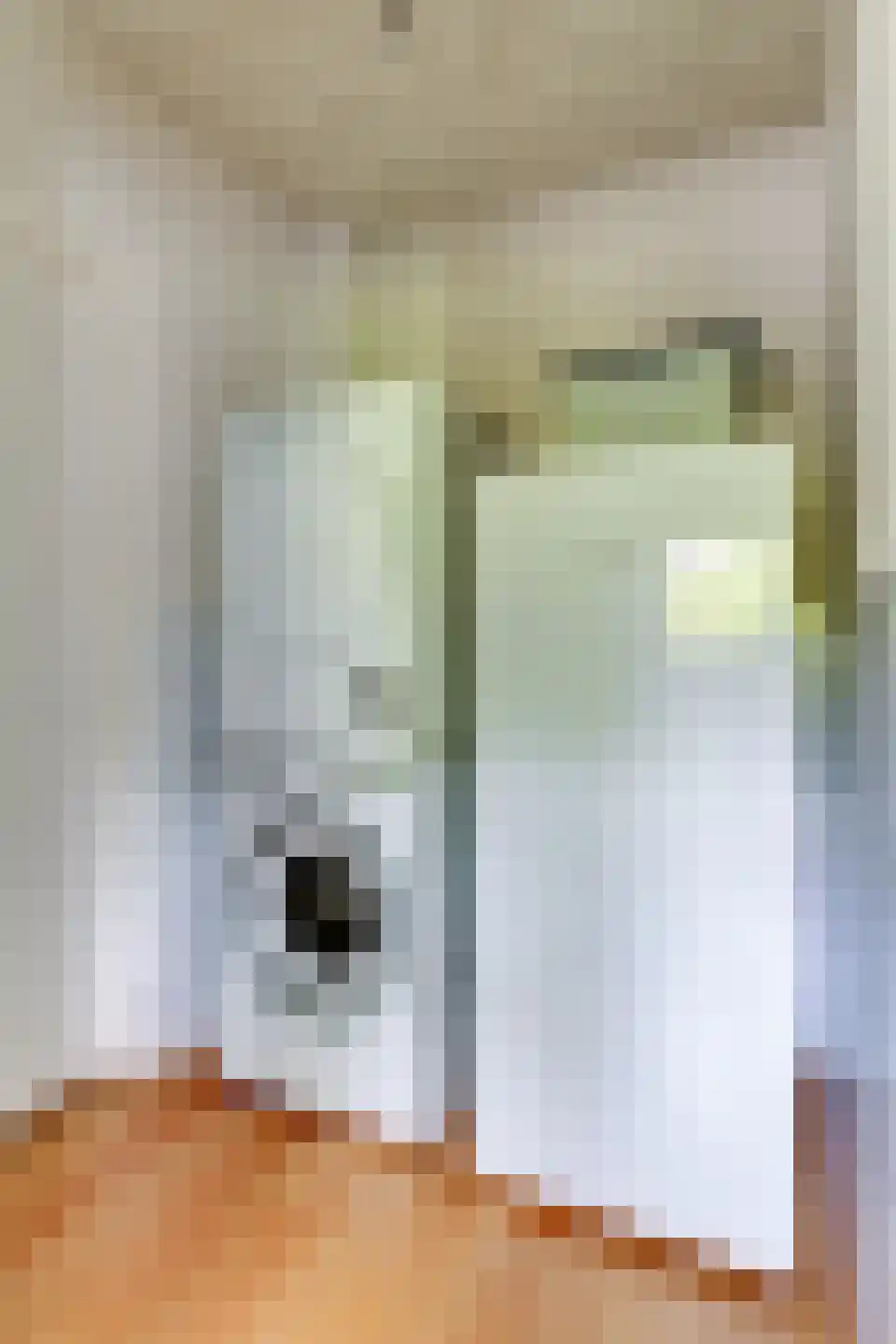 Hinkeman 32 Tolkamer thumbnail 24