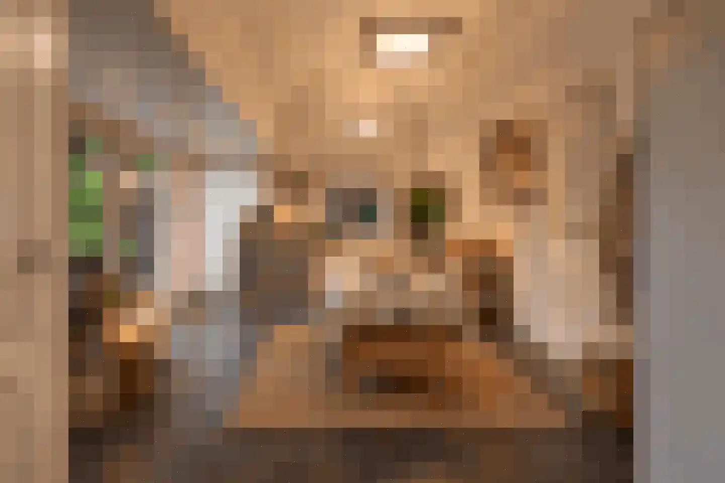 Hinkeman 32 Tolkamer thumbnail 29