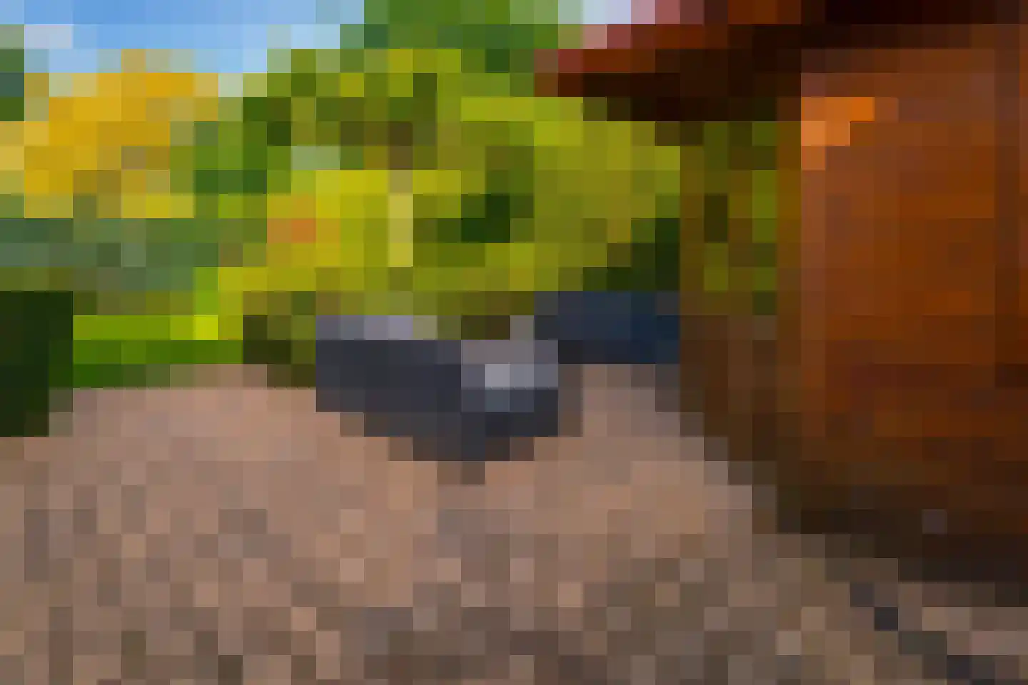 Hinkeman 32 Tolkamer thumbnail 32