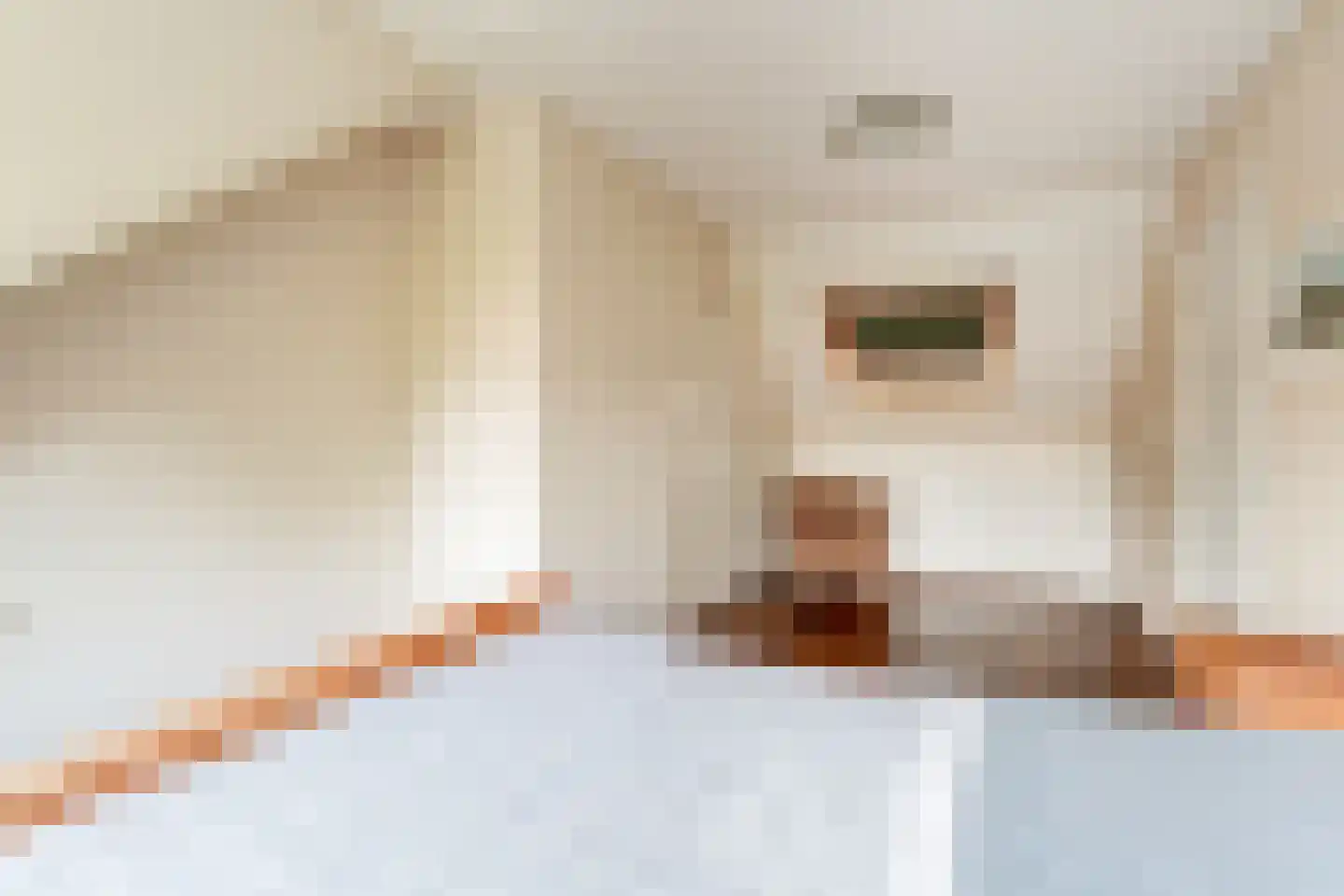Hinkeman 32 Tolkamer thumbnail 39