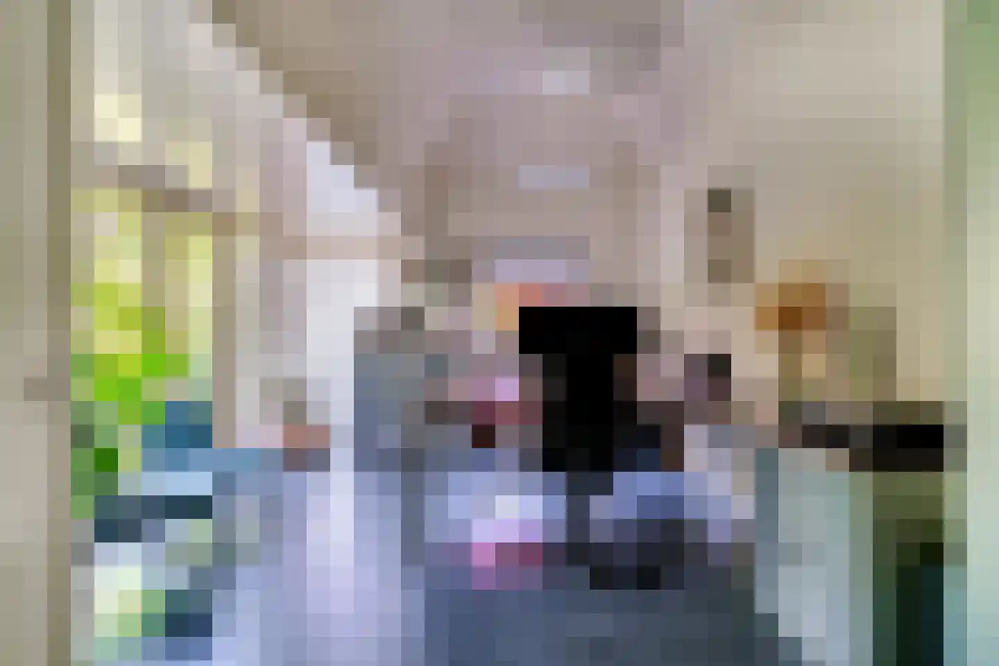 Hinkeman 32 Tolkamer thumbnail 4
