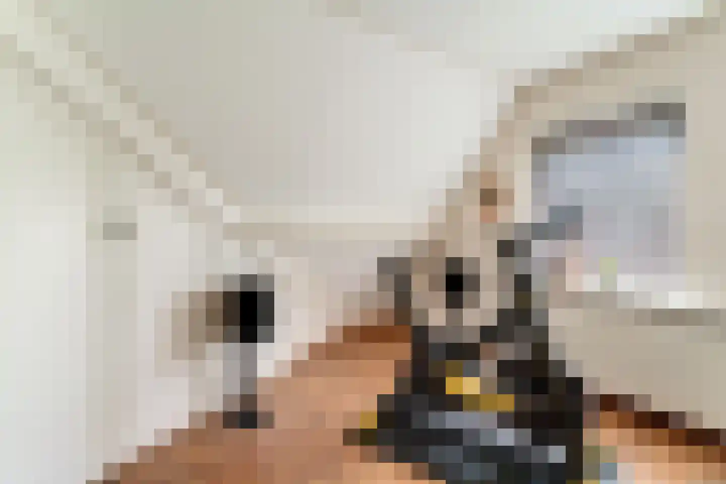Hinkeman 32 Tolkamer thumbnail 43