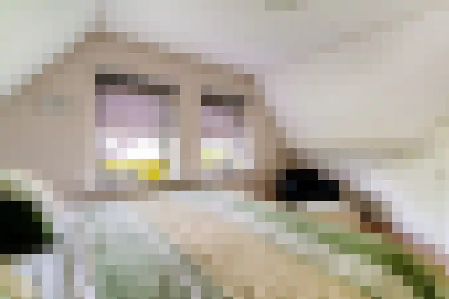 Hinkeman 32 Tolkamer thumbnail 47