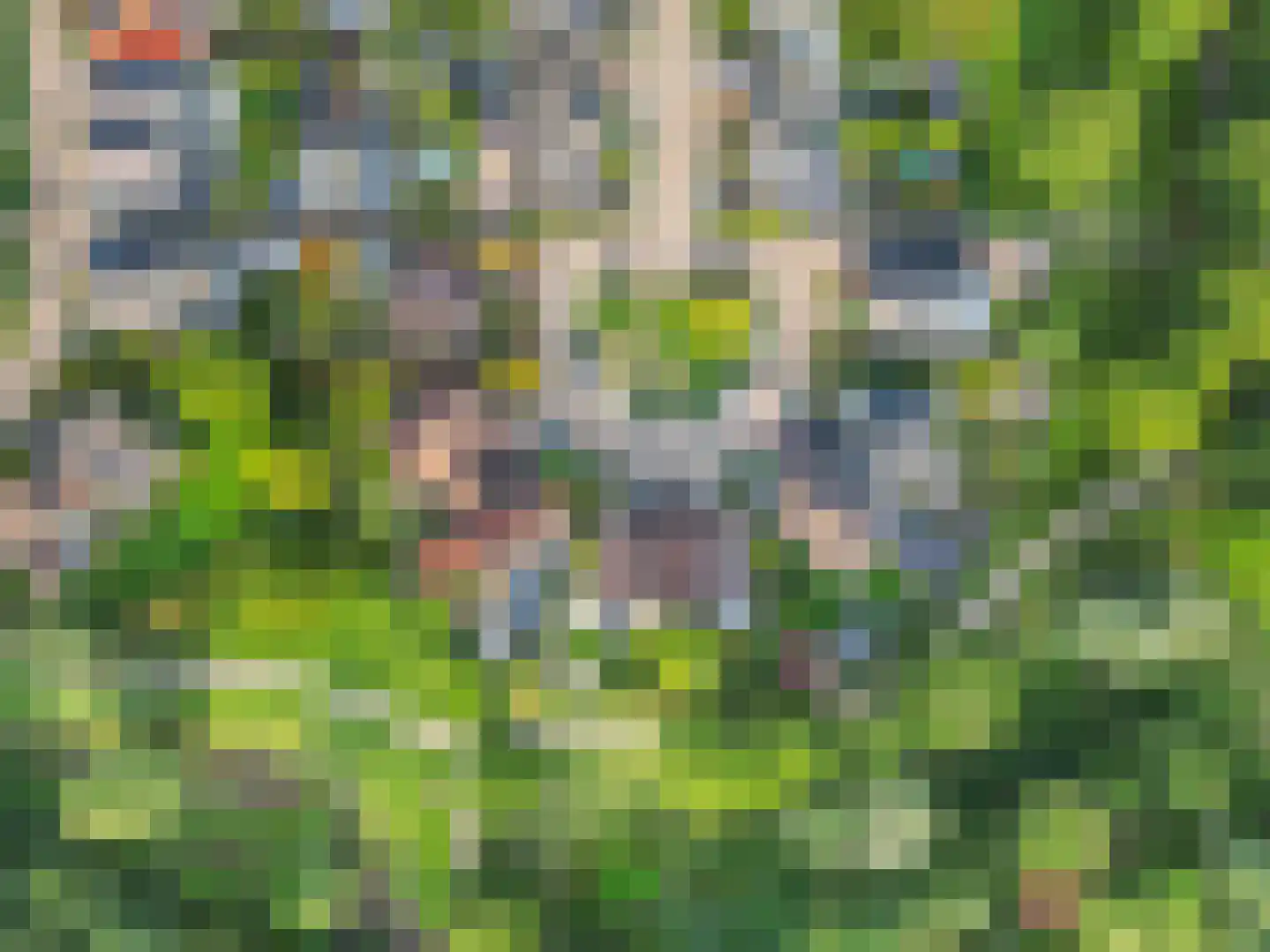 Hinkeman 32 Tolkamer thumbnail 6