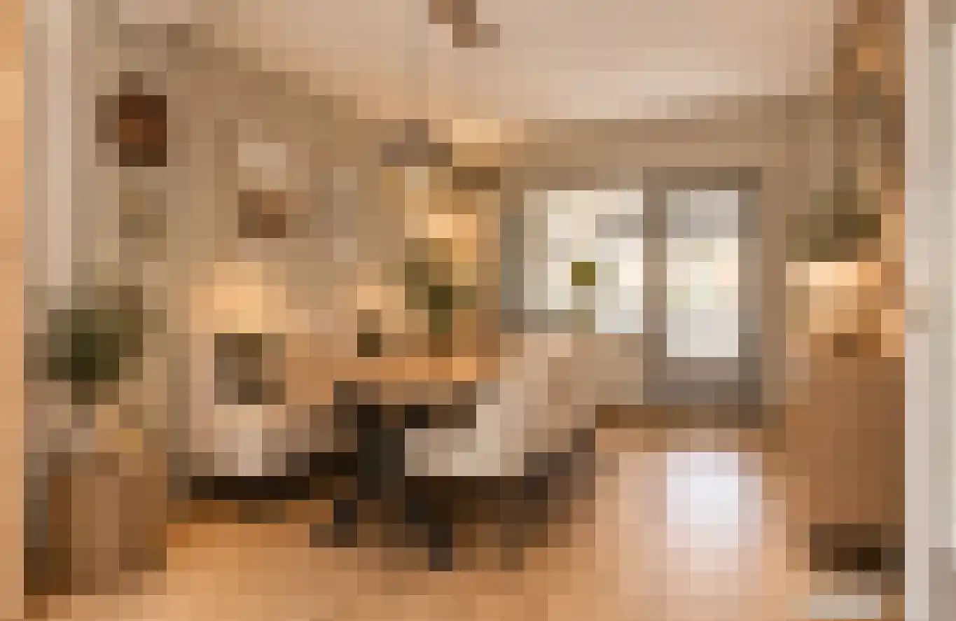 Hinkerstraat 29 Cothen thumbnail 12