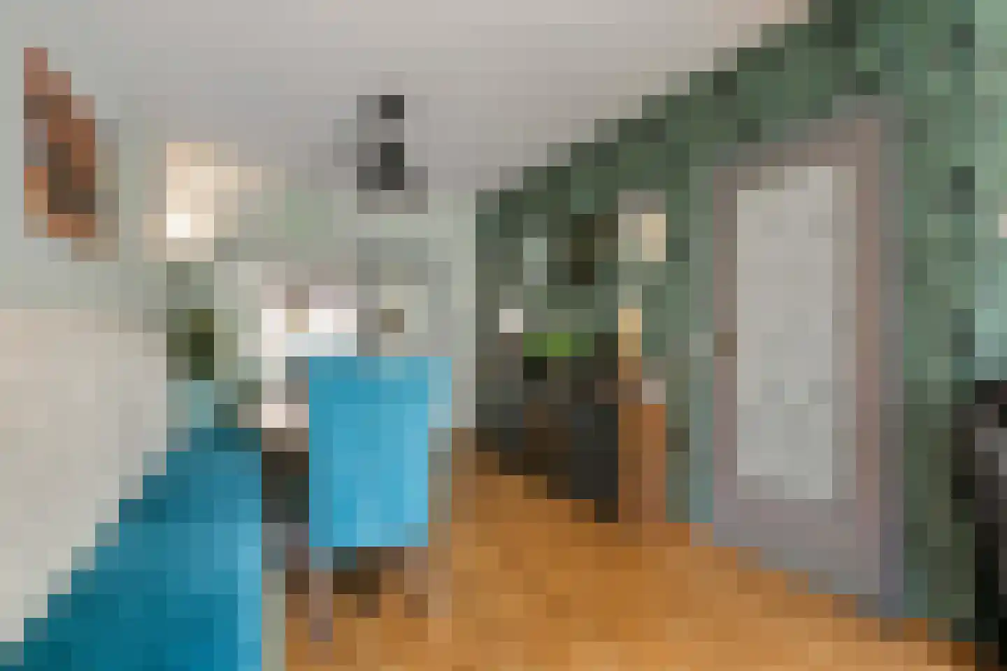 Hinkerstraat 29 Cothen thumbnail 12