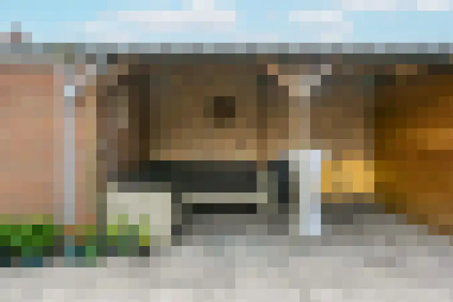 Hinkerstraat 29 Cothen thumbnail 23