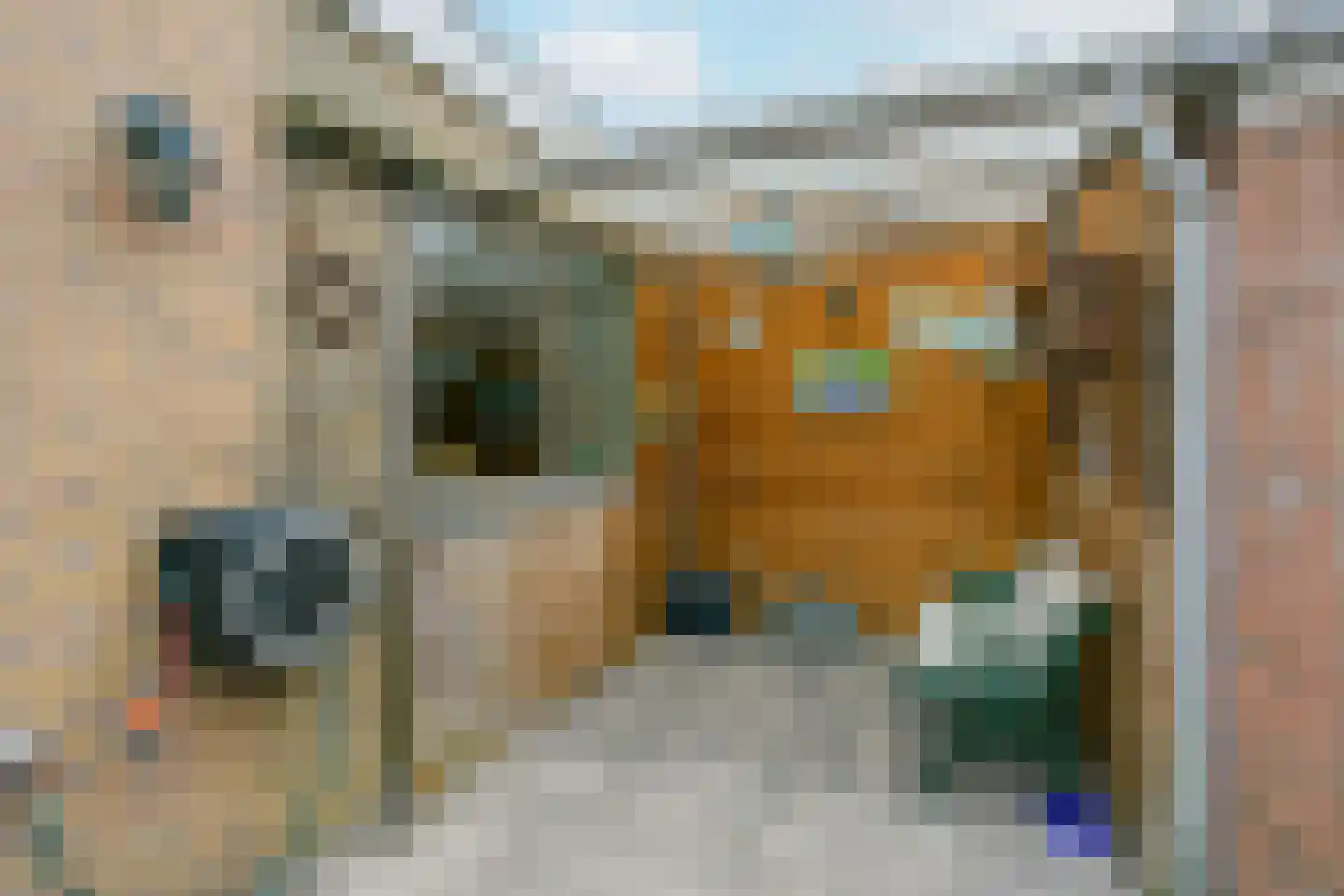 Hinkerstraat 29 Cothen thumbnail 25