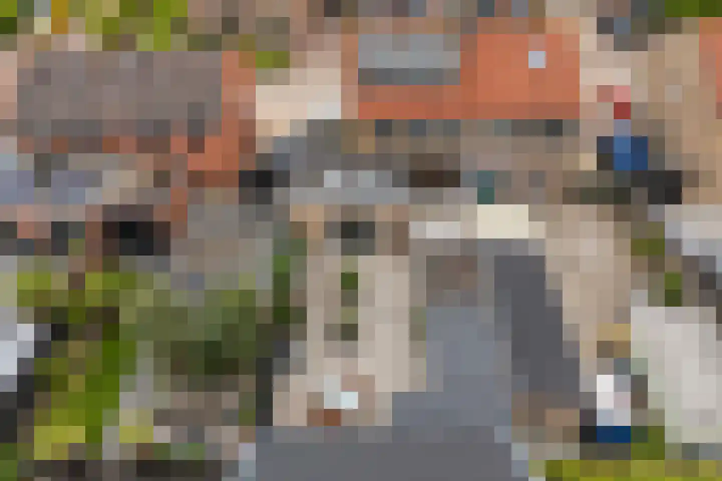 Hinkerstraat 29 Cothen thumbnail 39