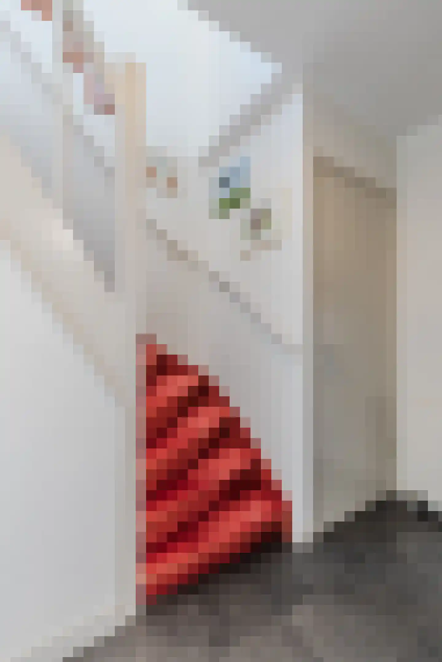 Hinkerstraat 48 Cothen thumbnail 31