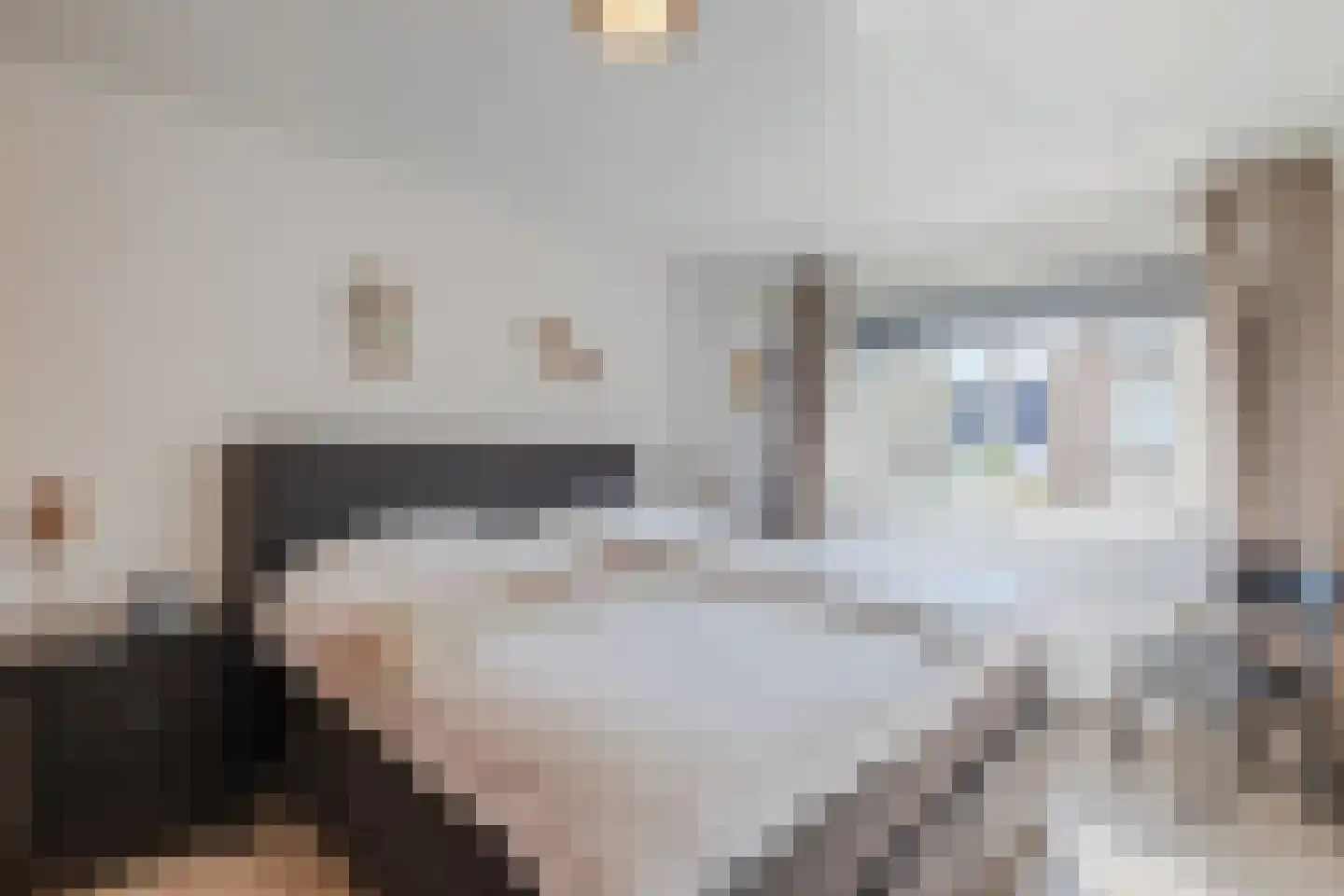 Hinkerstraat 48 Cothen thumbnail 35