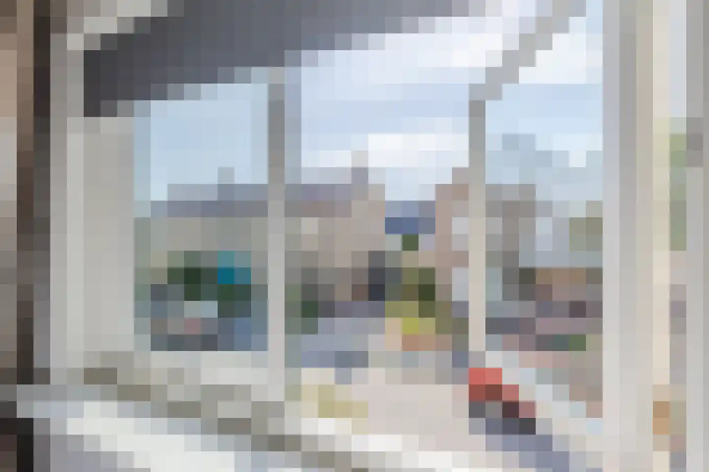 Hinkerstraat 48 Cothen thumbnail 36