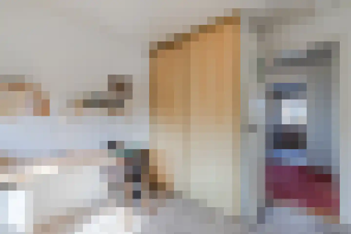 Hinkerstraat 48 Cothen thumbnail 41