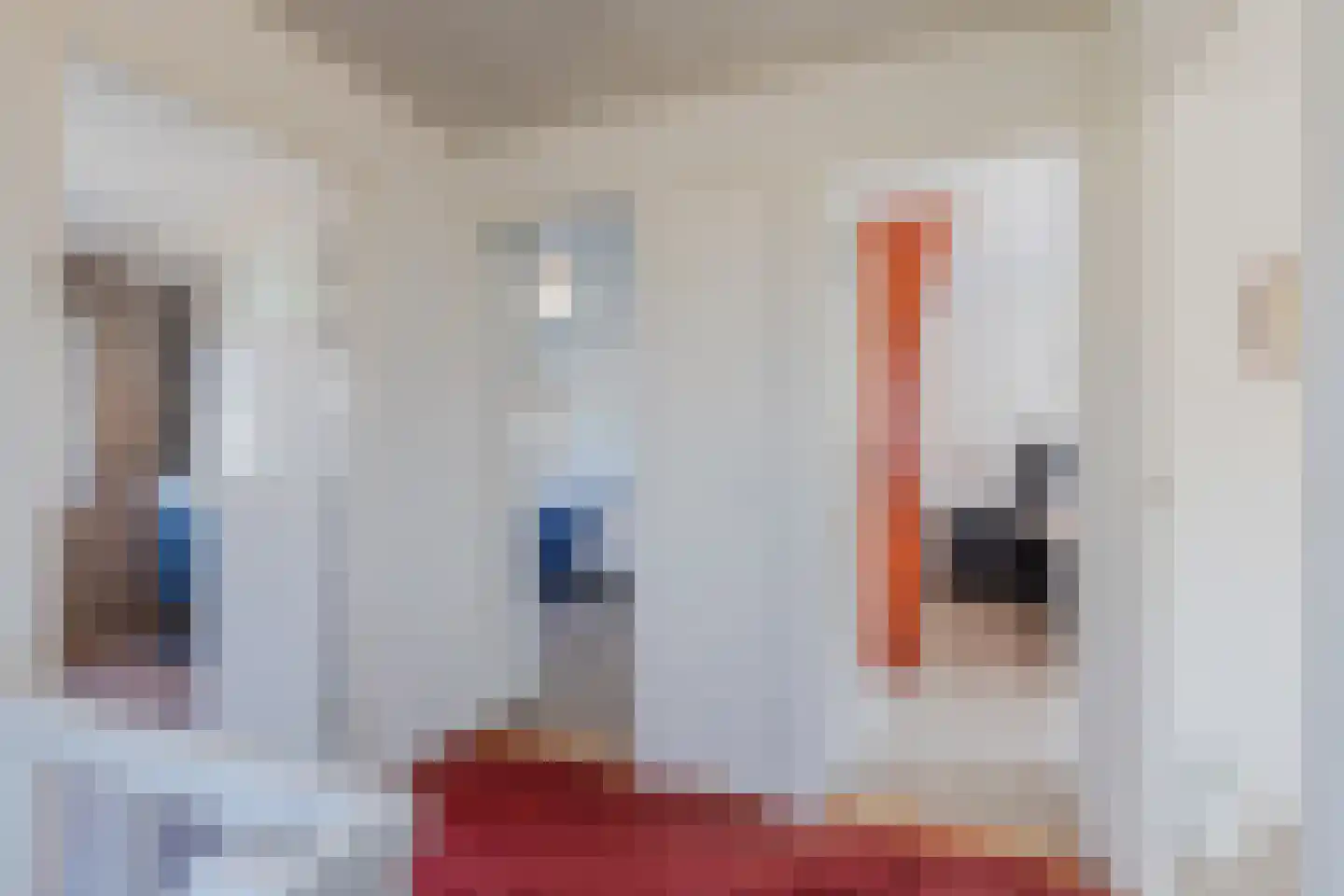 Hinkerstraat 48 Cothen thumbnail 51