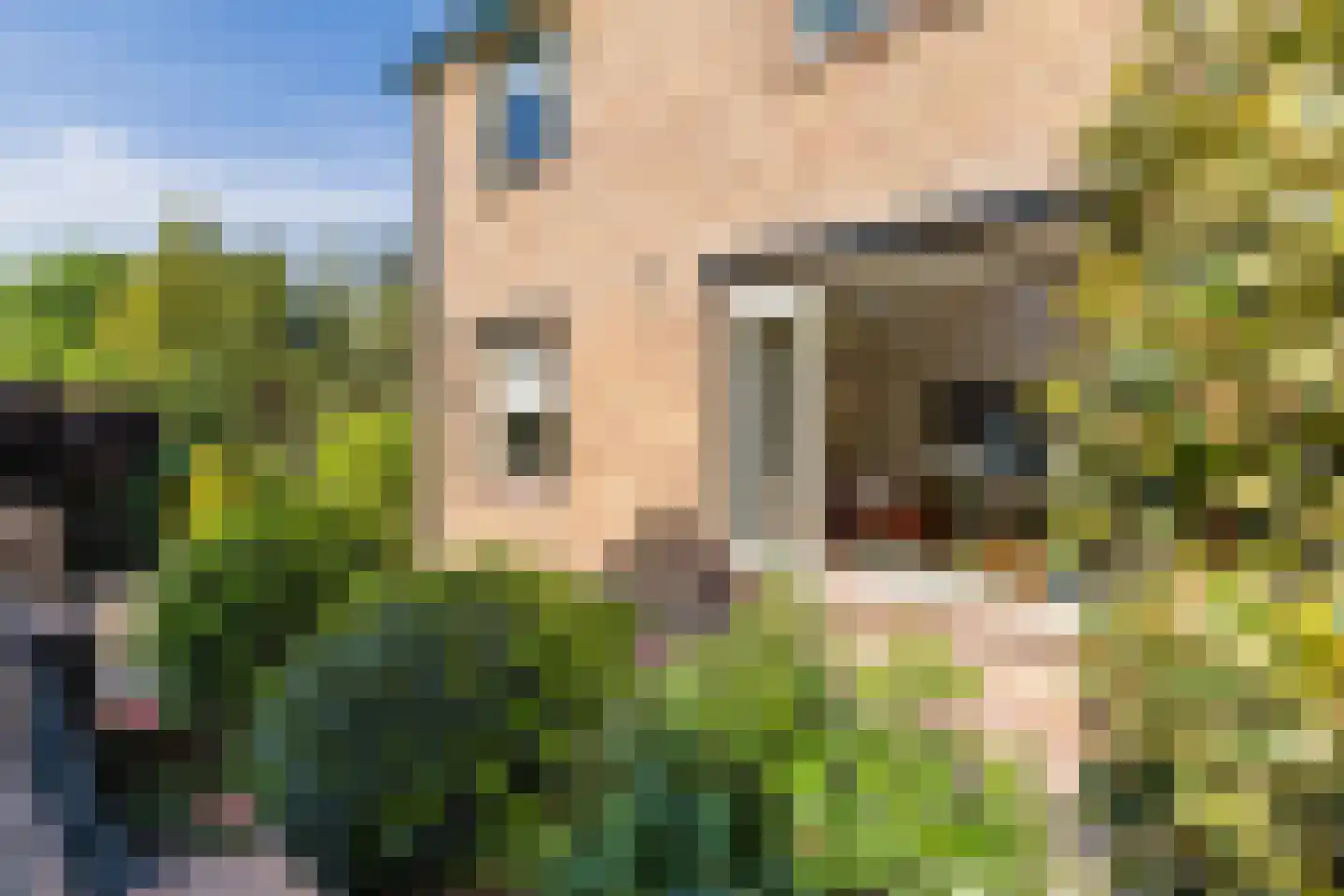 Hinkerstraat 48 Cothen thumbnail 68