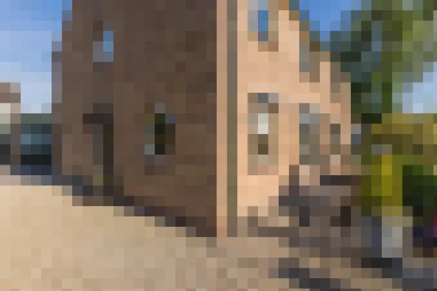 Hinkerstraat 48 Cothen thumbnail 70