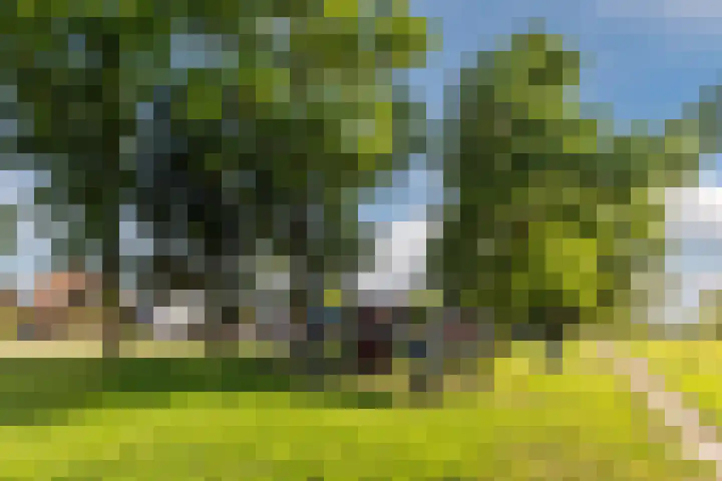 Hinkerstraat 48 Cothen thumbnail 74