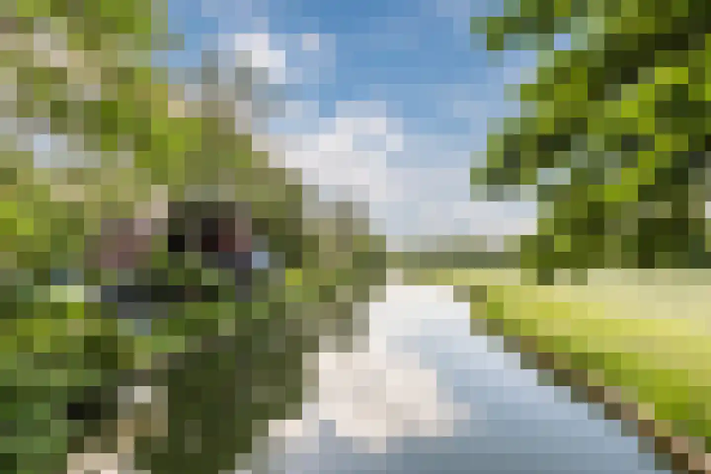 Hinkerstraat 48 Cothen thumbnail 76
