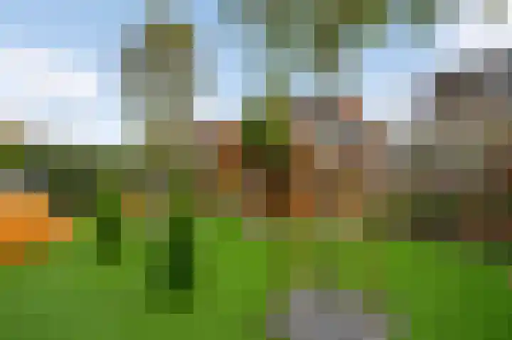 Hinkert 41 Nederweert thumbnail 24